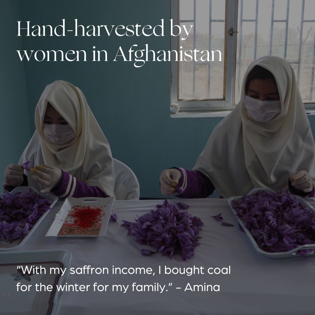 Wellness Saffron Tea Collection (6 Pack Case)